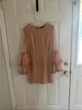 NWT INA Blush Mesh Bell Sleeve Mini Dress Size M
